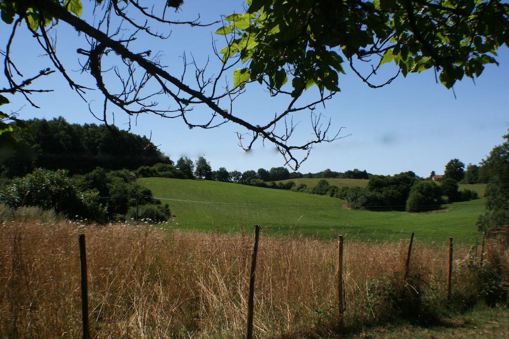 Domaine De Romefort Saint-Léonard-de-Noblat Exteriör bild