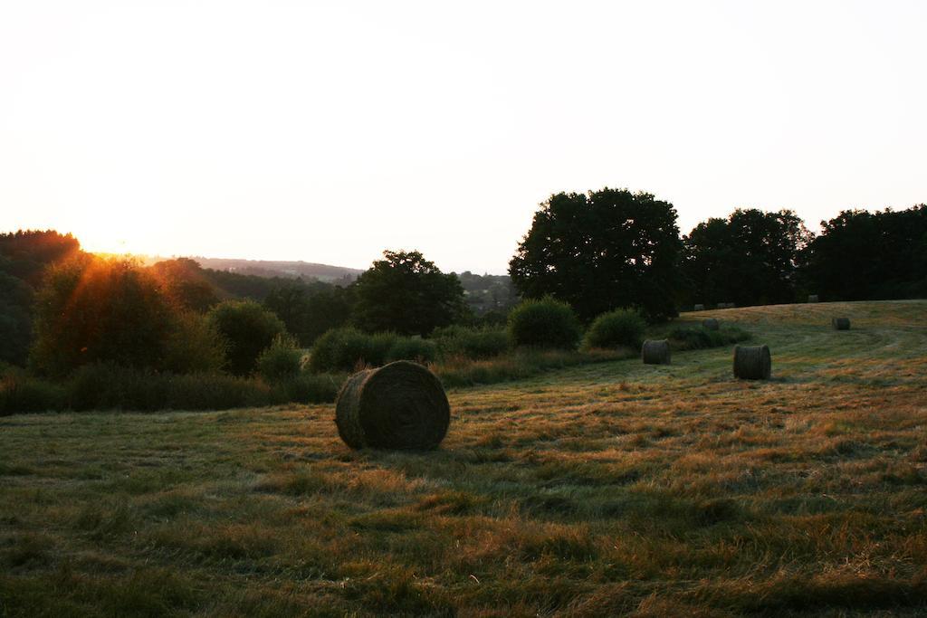 Domaine De Romefort Saint-Léonard-de-Noblat Rum bild